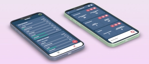 application gestion budget Gestbud