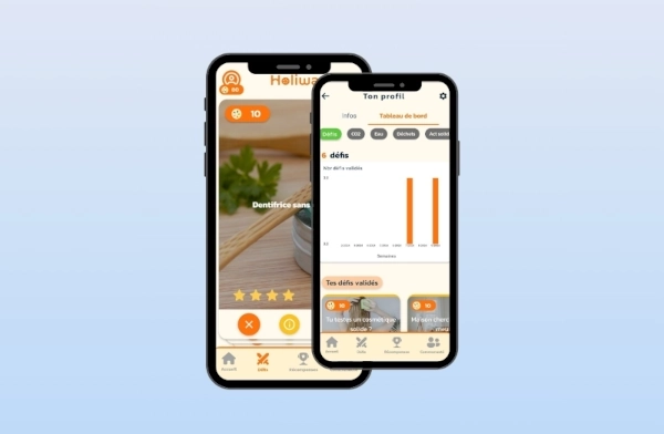 application gestion budget Gestbud